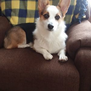 Meet your Posher, Beverly